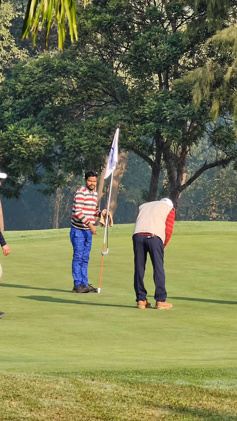 Golfers on a putting green surrounded by mature trees at Golmuri